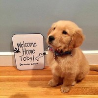 Profile Picture of Andrew Rothschild (@andrew-rothschild-1) on Quora