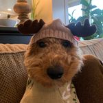 George Bailey Murphy🇮🇪☘️ - Instagram Profile Picture of George Bailey Murphy🇮🇪☘️ (@george_bailey_murphy) on Instagram