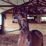 Profile Picture of Julian Arroyave (@julianarroyave75) on Instagram