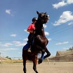 Profile Picture of Катя Адаменко🏇 (@kate_adamenko_) on Instagram