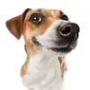 Profile Picture of candy (@candy_nose) on Tiktok
