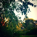 Profile Picture of Max Maher (@max784james) on Instagram