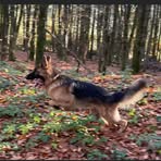 Profile Picture of Stephen Setter (@stephen.setter.3) on Facebook