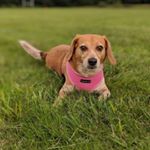 Profile Picture of Collin Marsh (@marsh.c14) on Instagram