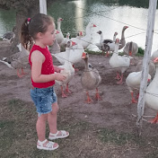 Profile Picture of Marisol Quevedo (@MarisolQuevedo-b7e) on Youtube