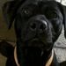 Profile Picture of Ricky Pryor (@rickypryor2) on Pinterest