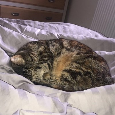 Profile Picture of Leah Farrow (@LeahFarrow2) on Twitter