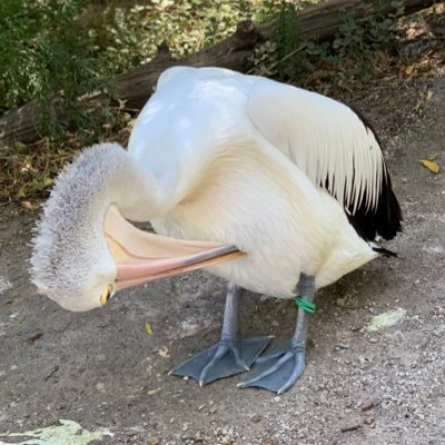 Profile Picture of Nate__glenn (@nate__glenn) on Twitter