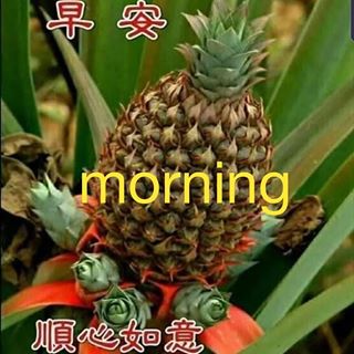 Profile Picture of Peter Hing (@michael.ng.524934) on Facebook