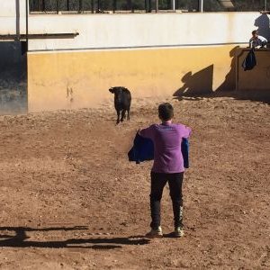 Profile Picture of Marc Lázaro Adam (@MarcLzaroAdam5) on Twitter