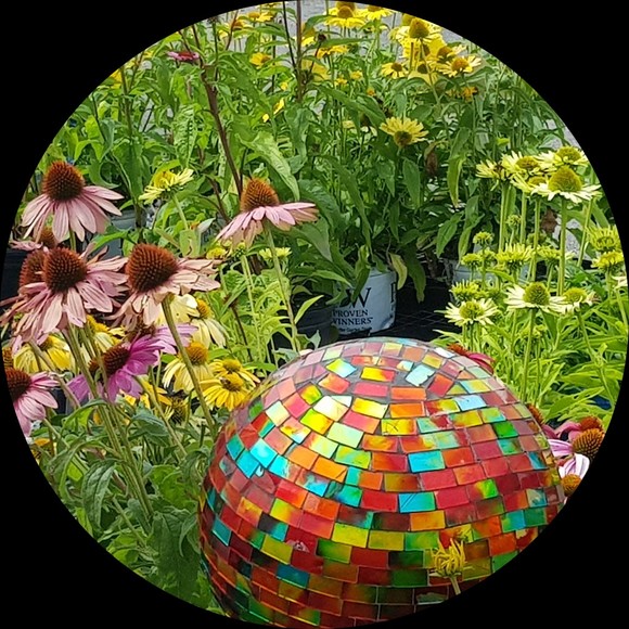 Profile Picture of Elizabeth Tillstrom (@lizzietillstrom) on Poshmark