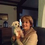 Profile Picture of Nancy Lippens (@lippensnancy) on Instagram