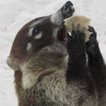 Profile Picture of Lisa Vickers (@lisa.vickers.999) on Instagram