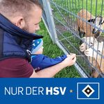 Profile Picture of Chris Krüger (@bettler90) on Instagram