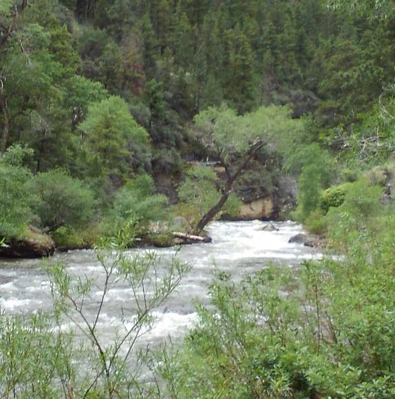 Profile Picture of Chris Reece (@chrisandcho) on Poshmark