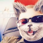 Profile Picture of Jan Krajkowski (@jas89555) on Instagram