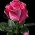 Profile Picture of Sandra Duran (@sandra.duran.71404976) on Facebook