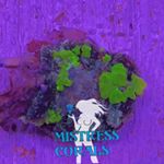 Profile Picture of Robert Weber (@mistress_corals) on Instagram