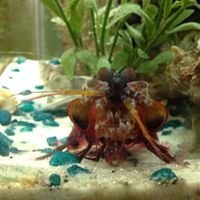 Profile Picture of Thomas Eckstein (@tom.eckstein.16) on Myspace