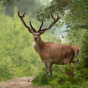 Profile Picture of Jules Fox-Havilland (@EpicCpHelp) on Youtube