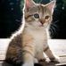 Profile Picture of Missy Dent (@Missy-Dent) on Facebook