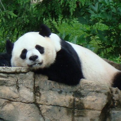 Profile Picture of Janet Gallagher (@janetlovesbooks) on Twitter