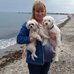 Profile Picture of Nancy purcell (@nancypurcell7057) on Instagram