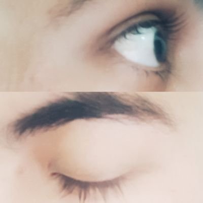 Profile Picture of Joaquín Hernández (@OscarTrigueros) on Twitter