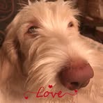 Profile Picture of Suzanne Applegate (@suzanne.applegate.79) on Facebook