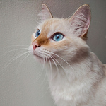 Camilo Zapata - Flickr Profile Picture of Camilo Zapata (@camilo.zapatam) on Flickr