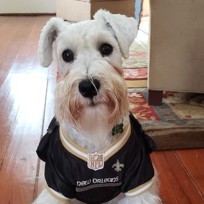 Profile Picture of Alan Yager (@YagerAlan) on Twitter