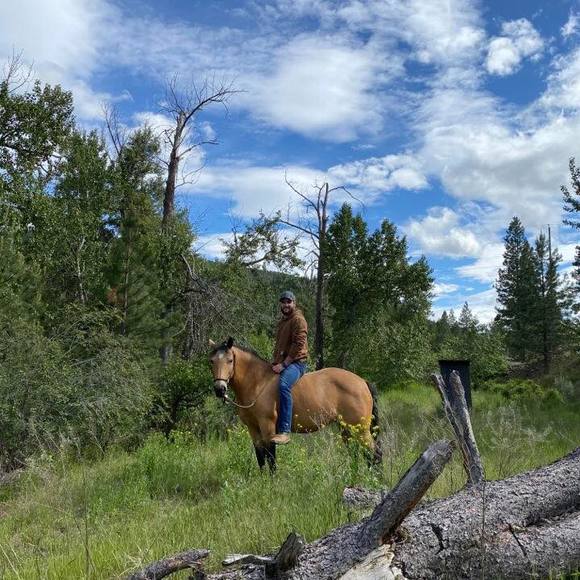 Alex Beaton - Poshmark Profile Picture of Alex Beaton (@alex_beaton) on Poshmark