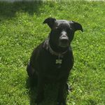 Profile Picture of Ben Wilks (@ben_wilks_01) on Instagram