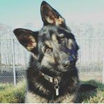 Profile Picture of julia.stumpf (@julia.stumpf25) on Instagram