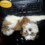 Profile Picture of noel espiritu (@nowee0129) on Instagram