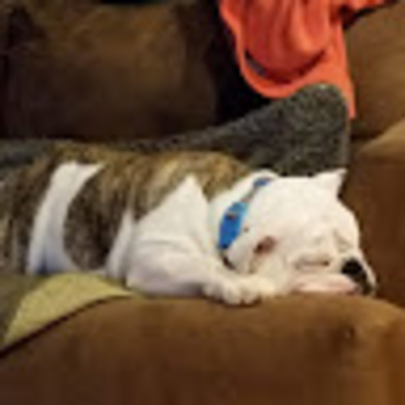 Profile Picture of Rosemary Marcellino (@rosiestorrs) on Poshmark