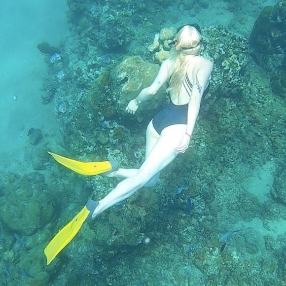 Profile Picture of Alayne Chappell (@laynec73) on Poshmark