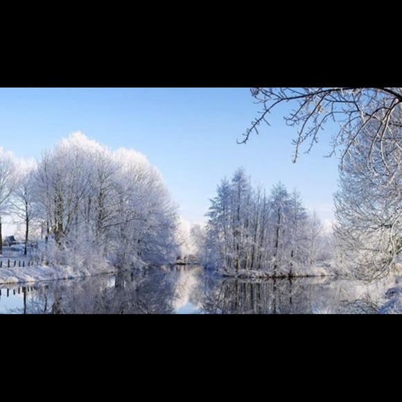 Profile Picture of Tessle Silbaugh (@tesalcon) on Poshmark