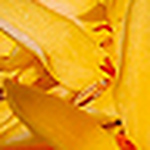 Profile Picture of Lucas Anderson (@lucas anderson) on Flickr