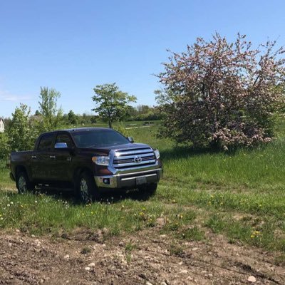 Profile Picture of Brendan Orr (@BrendanOrr15) on Twitter