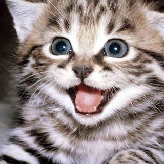 Profile Picture of John Vozzy (@john.vozzy) on Facebook