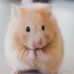 Profile Picture of Daniel Sickinger (@daniel.sickinger.2507) on Facebook