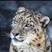 Profile Picture of Lesink Voipa (@lesink.voipa.5) on Facebook