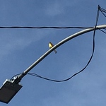 Profile Picture of Gabriel  Cant? (@jonathang.cantu) on Flickr