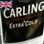 Profile Picture of David Whorton (@whorton.david) on Instagram