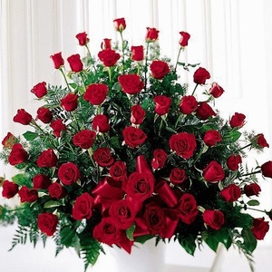 Rosa Iris Nazario - Myspace Profile Picture of Rosa Iris Nazario (@337897273) on Myspace