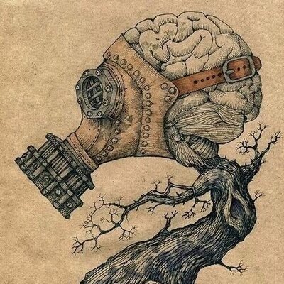 Profile Picture of Kevin Paine (@KevinPaine26) on Twitter