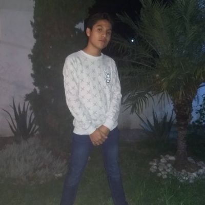 Profile Picture of Santiago_Gutiérrez (@Charles051105) on Twitter