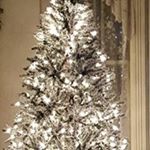 Peggy Ronk - Instagram Profile Picture of Peggy Ronk (@peggyronk) on Instagram