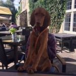 Profile Picture of Tracey Nugent (@trace.nugent) on Instagram